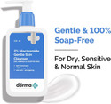 The Derma Co 2 Niacinamide Gentle Skin