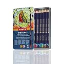 Derwent Inktense Permanent Watersoluble Pencils Tin, Drawing &amp; Painting, Ideal For Layering, Use on Fabrics, Wax-based, Professional Quality - 700928 (Set of 12)