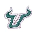 Desert Cactus University of South Florida Metal Lapel Pin Enamel Finish (1)