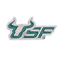 Desert Cactus University of South Florida Metal Lapel Pin Enamel Finish (2)