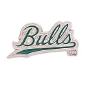Desert Cactus University of South Florida Lapel Pin USF Bulls Made of Metal for Formal Wear, Bag and Hat Jewelry, and Tie Tack