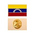 Desert Cactus Venezuela Country Metal Lapel Pin Enamel Finish (Rectangle)