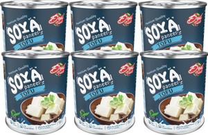 desi treat soya paneer tofu 4800 g