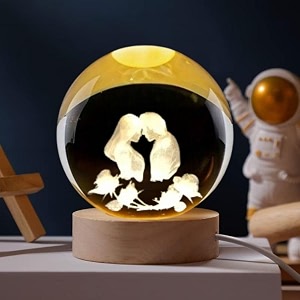 desidiya 3d couple crystal ball night light 24 inch glass ball night led lamp with woodern base perfect for gift
