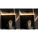 Desidiya 6 Watts Antique Gold Aluminium and Acrylic Finish LED Picture Photo Frame Light Adjustable Head with 3 Step Light (White, Warm White and Natural White - Pack of 2)