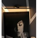 Desidiya 6 Watts Antique Gold Aluminium and Acrylic Finish LED Picture Photo Frame Light Adjustable Head with 3 Step Light (White, Warm White and Natural White - Pack of 1)