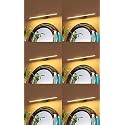 Desidiya LED Mirror Light 6W 3 Color Vanity Light Black Rose Gold Pack of 6