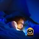 Desidiya Dolphin 3D Crystal Ball Night Light 2.4 Inch Glass Ball Night LED Lamp with Woodern Base Perfect for Gift