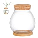 Beavorty Clear Glass Desktop Fish Bowl with Wood Lid Medium Size