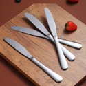 Destroyer 4 Pc Stainless Steel Knife Vasudev