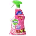 Dettol Mutli Purpose Pomegranate 1L