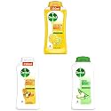 Dettol Body Wash and shower Gel, Refresh - 250ml - Body Wash and shower Gel, Nourish - 250ml - Body Wash and shower Gel, Soothe - 250ml Combo