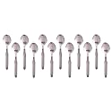 Stainless Steel Spoon Set of 12 - Spoon Set for Home and Kitchen,12-Pieces for Dining Table, Shiny and Sturdy Handle Spoon 18.5 cm, (17 Gauge) (Desert Spoon (Nova), Pack of 12)