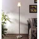 Devansh A527, Steel Floor Standing Lamp (Multicolour)