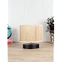 Devansh AP67, Iron Table lamp with Bamboo Shade