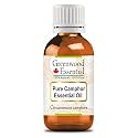 Greenwood Essential Camphor Essential Oil (Cinnamomum camphora) Pure | Non-Sticky | Non-greasy | Lightweight | Men &amp; Women | All Skin Types | Steam Distilled 10ml