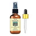 Deve Herbes Devprayag Gangajal Holy Ganga Water From The Origin Or Beginning Of River Ganga At Devprayag In Amber Glass Bottle With Spray & Dropper unisex adult 100Ml