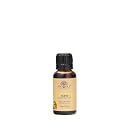 Devinez Clove Essential Oil, 100% Pure, Natural &amp; Undiluted, 30ml in Glass Bottle - muscle &amp; pain, Skin Care, dandruff, Acne &amp; Hair Care, Reduce Tension, Anti-Inflammatory
