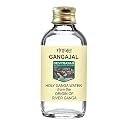 Devprayag Gangajal Holy Ganga Water from The Origin or Beginning of River Ganga at Devprayag in Clear Glass Bottle 100ml - Ganga jal for Puja (Pooja) and Rituals.