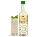 Dhampure Speciality Lime Syrup Mocktail Cocktail Vodka, Rum, Gin Mixer Syrup, Makes 10-12 Drinks, 300Ml Pour Add Stir &amp; Sip Syrup For Cocktails Mocktails/Lemonades/Non Alcoholic Beverage