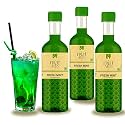 Dhampurgreen Fresh Mint Mocktail Cocktail Vodka, Rum, Gin Mixer Syrup, Makes 10-12 Drinks Each Bottle, 900Ml (300Ml X 3) Pour Add Stir &amp; Sip Syrup Non Alcoholic Beverage