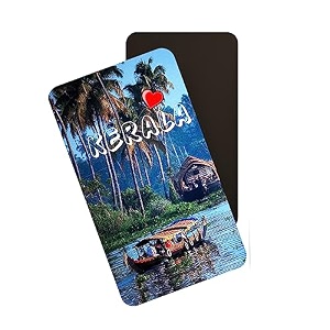 dhcrafts rectangular rubber fridge magnetmagnetic card multicolor kerala d2 design pack of 1 86cm x 54cm