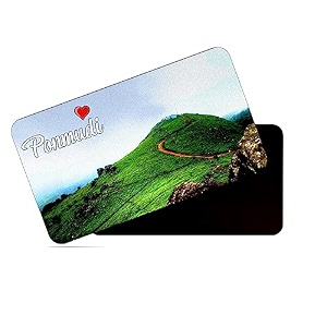 dhcrafts rectangular rubber fridge magnetmagnetic card multicolor kerala ponmudi design pack of 1 86cm x 54cm