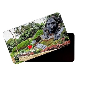 dhcrafts fridge magnet rectangle acrylic glass 86 x 54 cm multicolor karnataka chikmangalur d1 design pack of 1