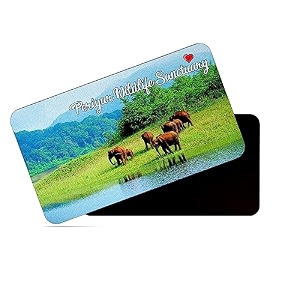 dhcrafts fridge magnet rectangle acrylic glass 86 x 54 cm multicolor kerala periyar wildlife sanctuary design pack of 1