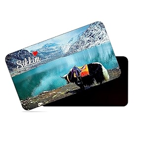 dhcrafts rectangular rubber fridge magnetmagnetic card multicolor sikkim d1 design pack of 1 86cm x 54cm