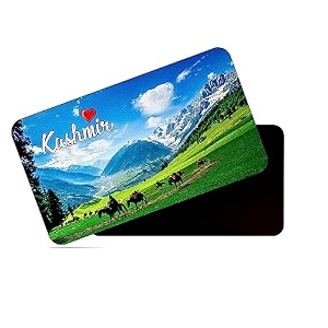 dhcrafts rectangular rubber fridge magnetmagnetic card multicolor kashmir d2 design pack of 1 86cm x 54cm