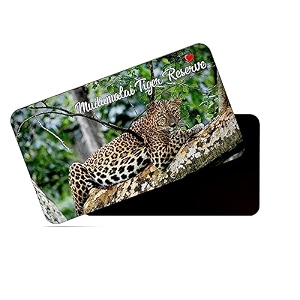 dhcrafts fridge magnet rectangle acrylic glass 86 x 54 cm multicolor tamil nadu mudumalai tiger reserve design pack of 1