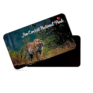 dhcrafts fridge magnet rectangle acrylic glass 86 x 54 cm multicolor uttarakhand jim corbett national park design pack of 1