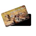 dhcrafts Fridge Magnet Rectangle Acrylic Glass (8.6 x 5.4 cm) Multicolor Madhya Pradesh Bandhavgarh National Park Design Pack of 1