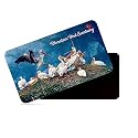 dhcrafts Fridge Magnet Rectangle Acrylic Glass (8.6 x 5.4 cm) Multicolor Rajasthan Bharatpur Bird Sanctuary Design Pack of 1