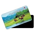 dhcrafts Fridge Magnet Rectangle Acrylic Glass (8.6 x 5.4 cm) Multicolor Kerala Periyar Wildlife Sanctuary Design Pack of 1