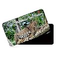 dhcrafts Fridge Magnet Rectangle Acrylic Glass (8.6 x 5.4 cm) Multicolor Tamil Nadu Mudumalai Tiger Reserve Design Pack of 1
