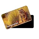dhcrafts Fridge Magnet Rectangle Acrylic Glass (8.6 x 5.4 cm) Multicolor Madhya Pradesh Pench National Park Design Pack of 1