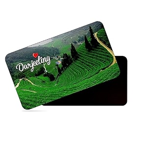 dhcrafts rectangular rubber fridge magnetmagnetic card multicolor west bengal darj d2 design pack of 1 86cm x 54cm
