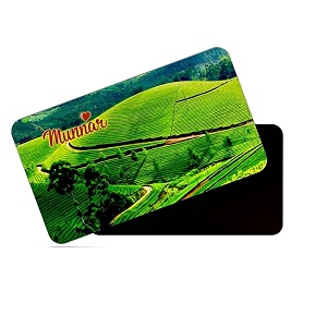dhcrafts rectangular rubber fridge magnetmagnetic card multicolor kerala munnar design pack of 1 86cm x 54cm