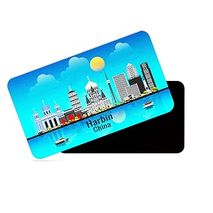 dhcrafts Rectangular Rubber Fridge Magnet Magnetic Card