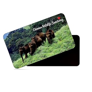 dhcrafts rectangular rubber fridge magnetmagnetic card multicolor kerala chinnar wildlife sanctuary design pack of 1 86cm x 54cm