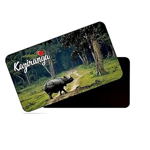 dhcrafts rectangular rubber fridge magnetmagnetic card multicolor assam kaziranga design pack of 1 86cm x 54cm