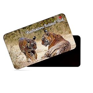 dhcrafts rectangular rubber fridge magnetmagnetic card multicolor ranthambore national park rajasthan design pack of 1 86cm x 54cm