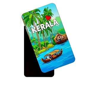 dhcrafts rectangular rubber fridge magnetmagnetic card multicolor kerala d2 design pack of 1 86cm x 54cm