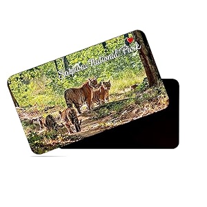 dhcrafts rectangular rubber fridge magnetmagnetic card multicolor satpura national park madhya pradesh design pack of 1 86cm x 54cm