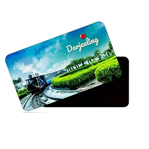 dhcrafts rectangular rubber fridge magnetmagnetic card multicolor dar d1 design pack of 1 86cm x 54cm