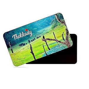 dhcrafts rectangular rubber fridge magnetmagnetic card multicolor kerala thekkady design pack of 1 86cm x 54cm
