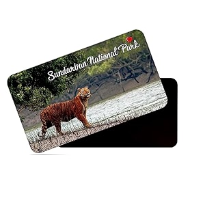 dhcrafts rectangular rubber fridge magnetmagnetic card multicolor sundarban national park west bengal design pack of 1 86cm x 54cm