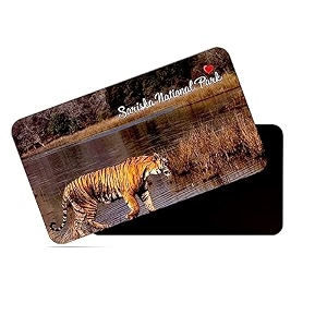 dhcrafts rectangular rubber fridge magnetmagnetic card multicolor sariska tiger reserve rajasthan design pack of 1 86cm x 54cm